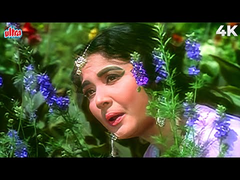 मीणा कुमारी का यह मशहूर गाना देखिये आशा भोसले की सुन्दर आवाज में Mohammed Rafi |Hum Intezar Karenge