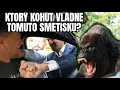 Matovič Vs Kaliňák A Alfasamci V Politike
