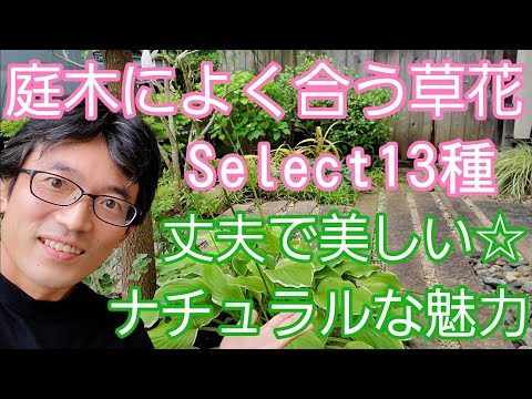 丈夫な草: 最高の種類 トピックス
