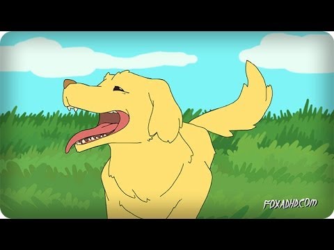 30 SECONDS OF HAPPINESS