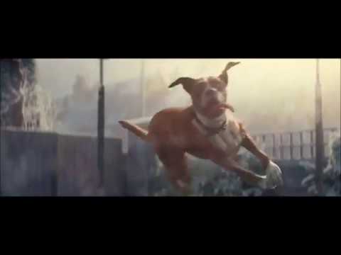 House of Pain - Jump Around JOHN LEWIS Quick Hitter DJ TOOL Mashup