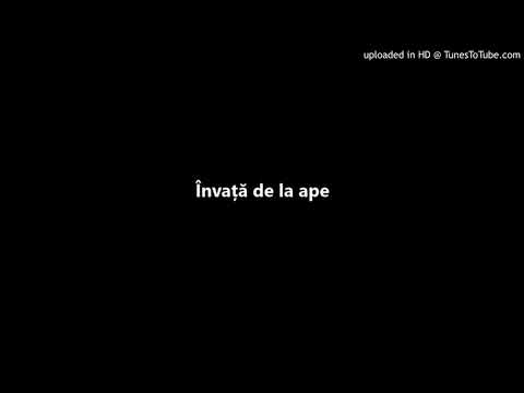 Pastean Vasile - Învață de la ape