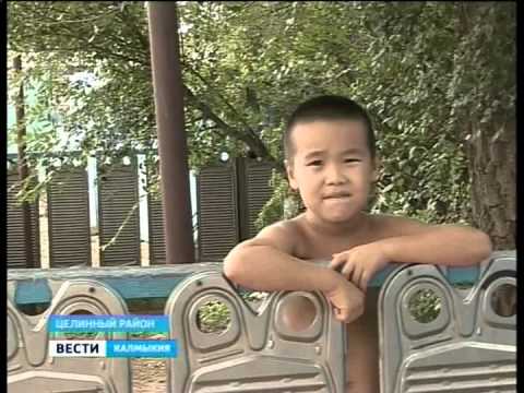 Вести «Калмыкия»: дневной выпуск 29.07.2014