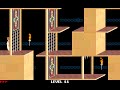 Prince Of Persia 1 Trick Of Tiles Level 11