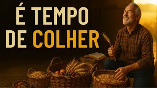Você Chorou em Silêncio, Mas Deus Já Decretou: O Tempo de Colher Chegou — E É Agora!