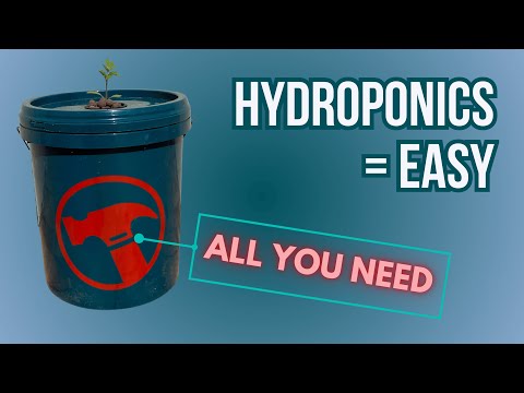 DIY Kratky Hydroponics - Step by Step Guide for Beginners (Tomatoes, Peppers, Cucumbers, Chillies)