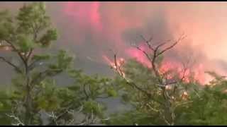 preview picture of video 'Incendio Forestal Brigada Cholila'