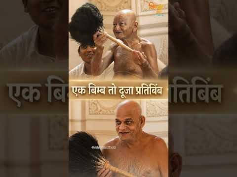 एक बिंब🪞तो दूजा प्रतिबिंब।🪩