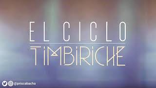 El ciclo. Timbiriche Funko Pop