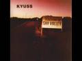 KYUSS- Conan Troutman