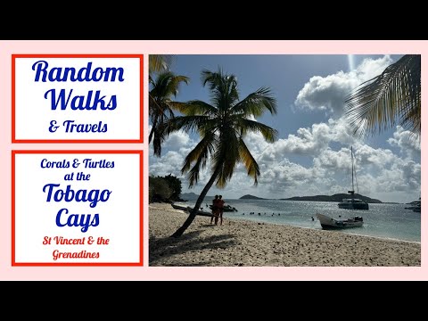 A trip from Palm Island Resort to the Tobago Cays National Park.