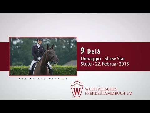 09 Deià  Stute v. Dimaggio - Show Star