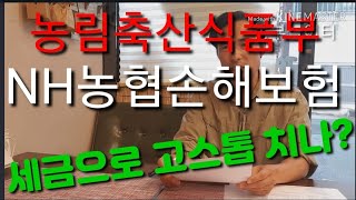 농림축산식품부가 NH농협손해보험이 망하지 않게 돕는 진짜 이유는? 농림축산식품부의 해명은?