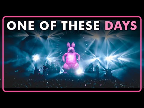Pink Floyd's One Of These Days From Meddle - Performed By The Australian Pink Floyd Show