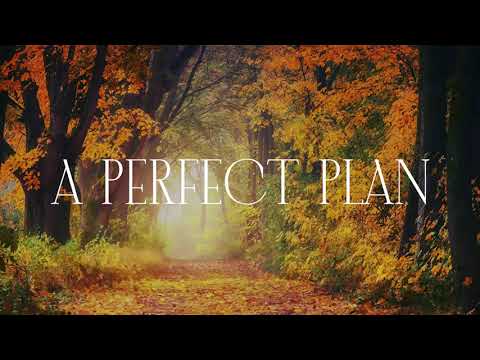 A Perfect Plan | Lead me | Praise and Worship - Lyrics
