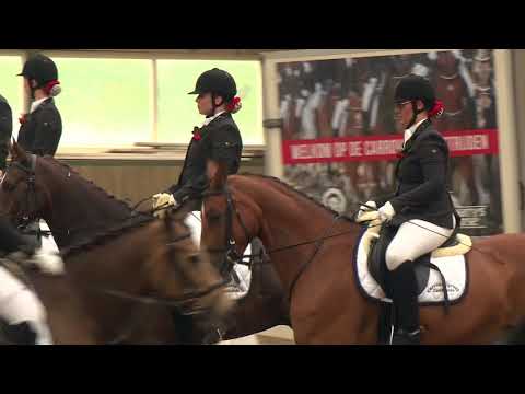 MONTAGE Eerste divisie carrousel 2018 paarden - Carrouselgroep Zeewolde