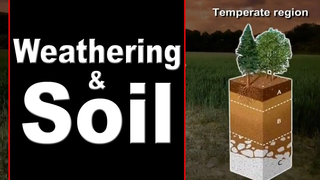 Formation of Soil | Weathering | Weathering and its Various Factors | Home Revise