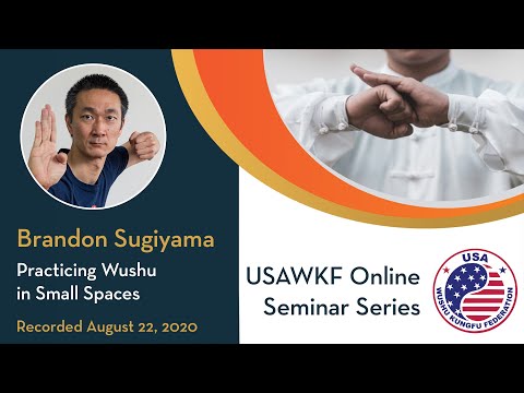 Practicing Wushu in Small Spaces with Brandon Sugiyama