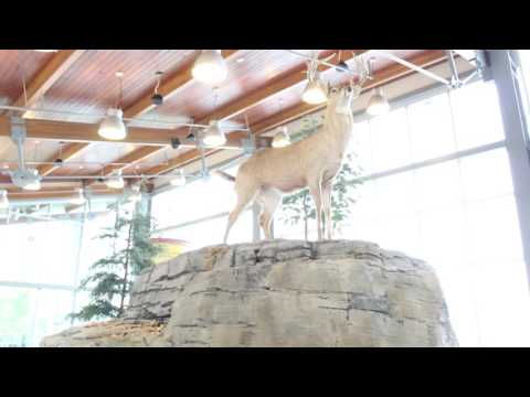 Walking through Dewey Short Visitor Center