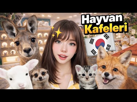 THE WORLD'S MOST LUXURIOUS CAT HOTEL (KOREAN PET CAFÉS)