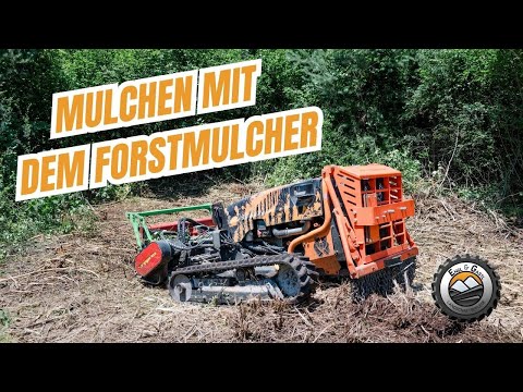 Mulching with the forestry mulcher