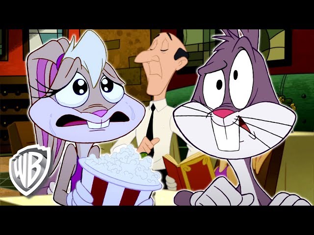 Vídeo relacionado con Looney Tunes Valentines Day Bugs Lola Tweety Taz Daffy Camiseta