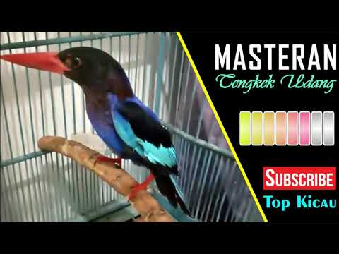 Tengkek Novyj Trend Smotret Onlajn Na Sajte Trendovi Ru