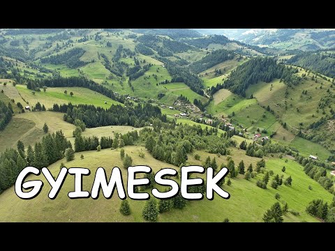 Gyimesek, Gyimesbükk, Gyimesközéplok, Gyimesfelsőlok