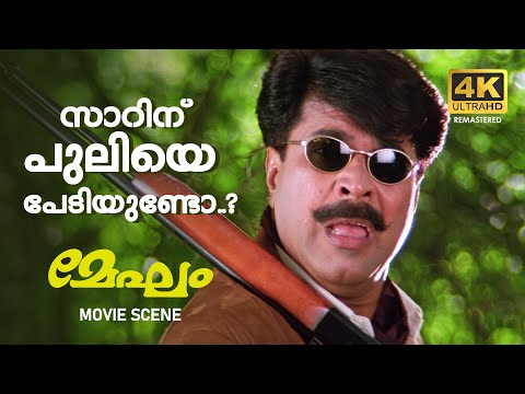 സാറിന് പുലിയെ പേടിയുണ്ടോ..? | Megham 4K Remastered | Mammootty | Priya Gill | Priyadarshan