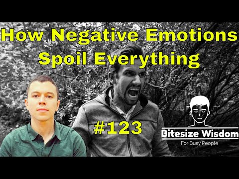 How Negative Emotions Spoil Everything And Distort Reality (Bitesize Wisdom #123)