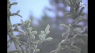 Looking Over the Iron Curtain: The Lipno Dam in Czechoslovakia (1988)