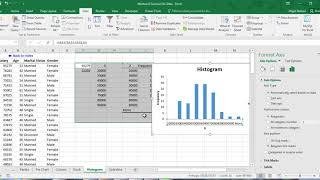 Excel Histogram for numeric and categorical data