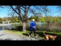 The Walking Workout