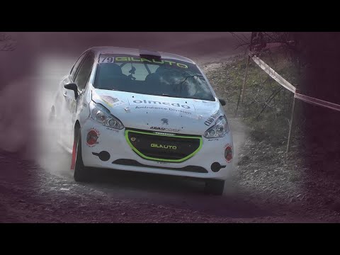 Rally della Val D'Orcia 2021 | Leuratti-del Rio | Peugeot 208