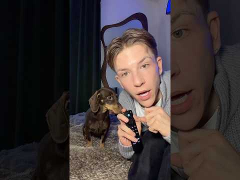 Peppy Testet Hunde Serie