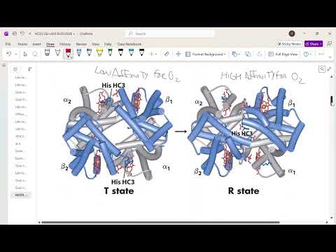 100526 Lecture Video