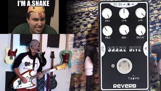 Video thumbnail for Caline Snake Bite Reverb Demo/Review. My Favorite Cheap Reverb!! by Chuck's Guitar Geekery