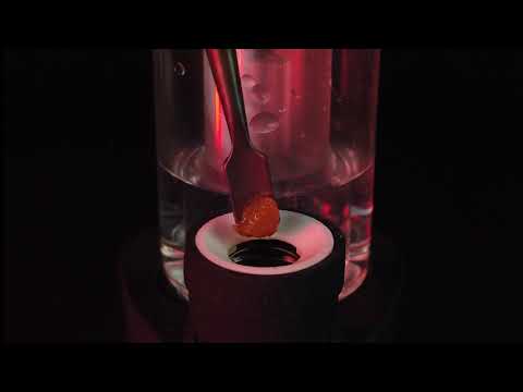 Vlab Halo eRig function video