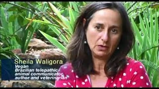 Harmonia Espiritual com o Reino Animal (Sheila Waligora)