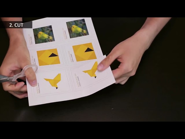 ورق مائي شفاف بدون خلفية للطباعة بالليزر - 20 ورقة