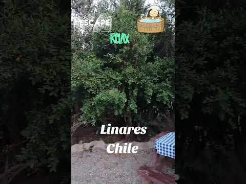 Linares, Chile #franenviaje#franturismo #linares #maule #chile