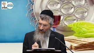 הרב יצחק יוסף (הנכד) - פסח 2026