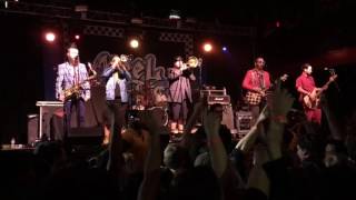 Brown Eyed Girl (Van Morrison) by Reel Big Fish @ Revolution Live on 2/4/15