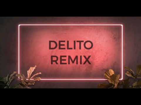 DELITO REMIX - FER PALACIOS | REMIXLANDIA 2021