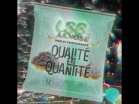 LSB feat Aknose - QUALITÉ/QUANTITÉ (Prod by PRINCEMAKER) - (MARS2021) [COVER]