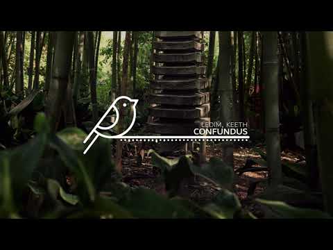 ledim - Confundus w/Keeth