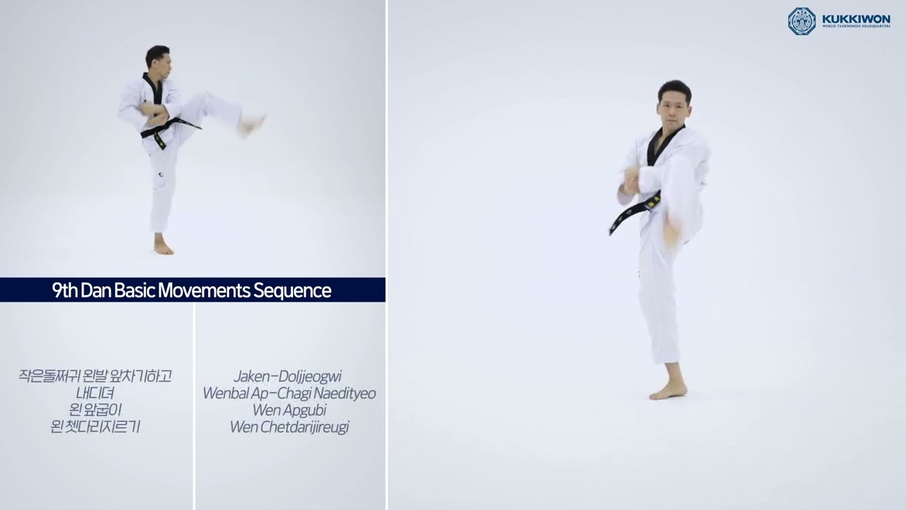 9th Dan Basic Movements Sequence