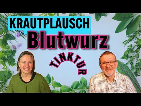 🌿 Blutwurz-Tinktur: Herstellung, Inhaltsstoffe und Anwendung | Krautplausch mit Karin & Ralf 🌿