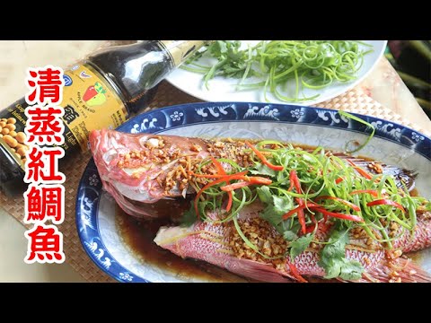 紅色的魚