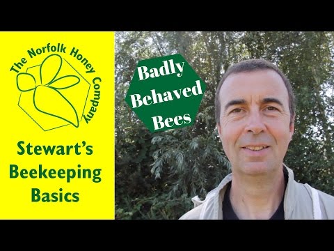 How to deal with Badly Behaved Bees - #Beekeeping Basics - The Norfolk Honey Co.
